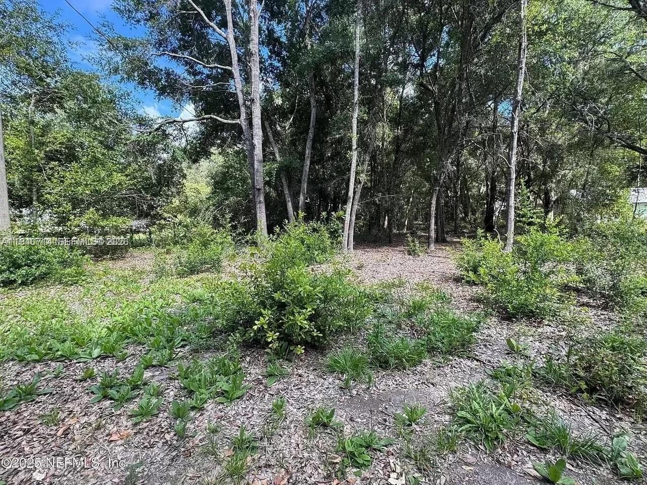 83dcefb7-2263 210 pine st, Other City – In The State Of Florida FL 32640 — #A11940714