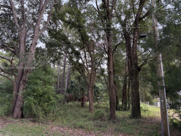 0 St Benedict Dr, Other City – In The State Of Florida FL 34432 — #A11943008