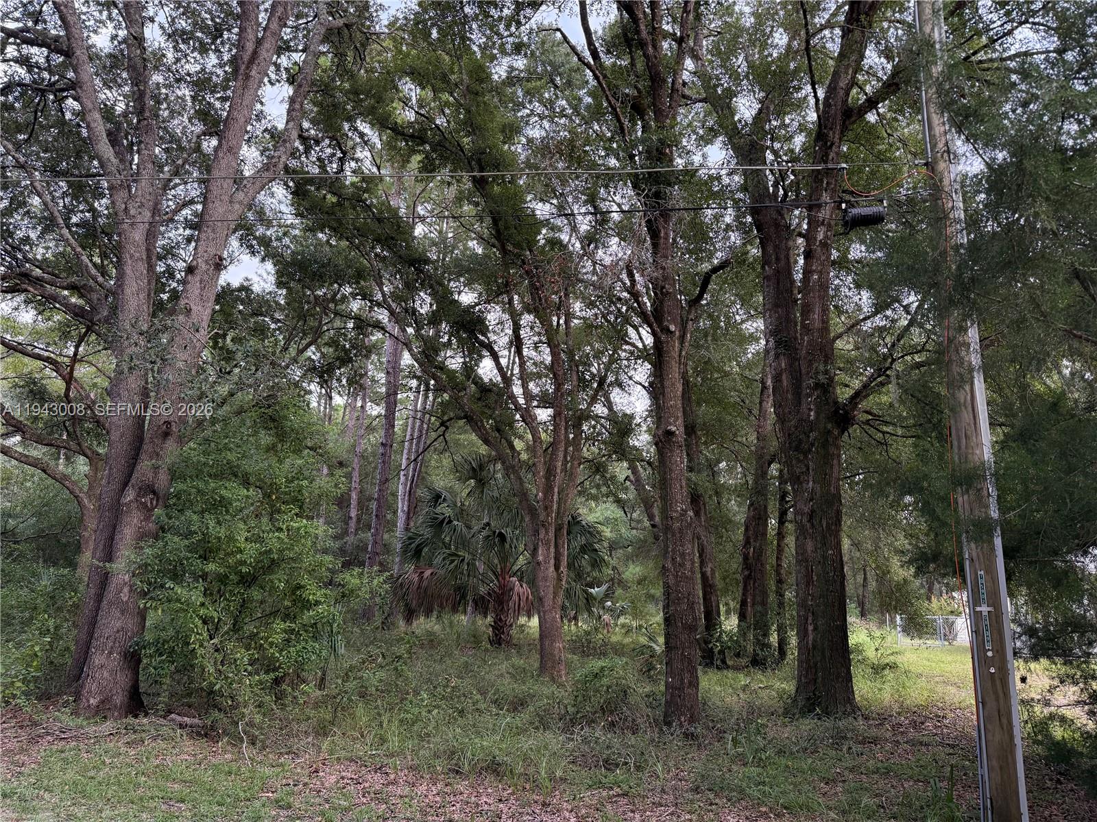 83dcefb7-2420 0 St Benedict Dr, Other City – In The State Of Florida FL 34432 — #A11943008