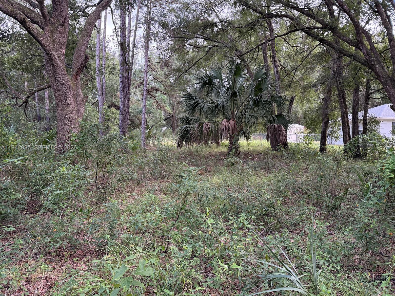 83dcefb7-2423 0 St Benedict Dr, Other City – In The State Of Florida FL 34432 — #A11942987