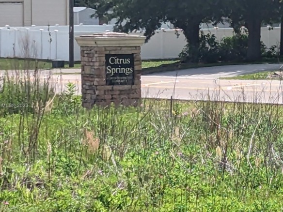 51 E Citrus Springs Blvd, Citrus Springs FL 34434 — #A11409867