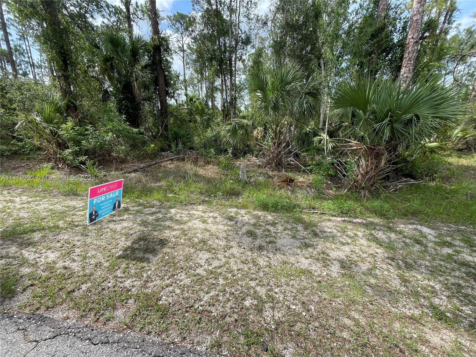 83dcefb7-2954 3305 E 21st ST, Lehigh Acres FL 33920 — #A11418920