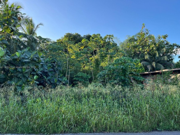Nestor Village Sangre Grande, 00000 — #A11826173