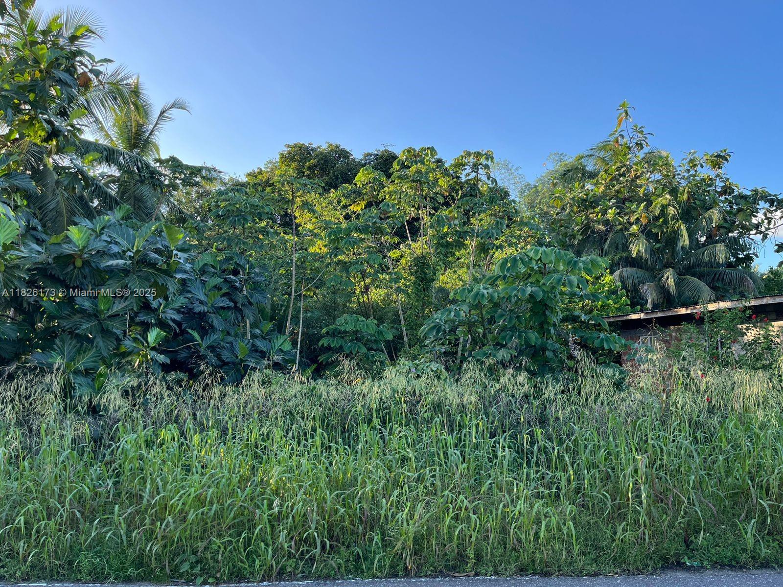 83dcefb7-314 Nestor Village Sangre Grande, 00000 — #A11826173