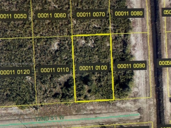 2902 W 72ND ST, Lehigh Acres FL 33971 — #A11521377