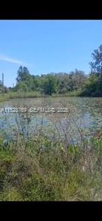 0 Richardson Blvd, Other City – In The State Of Florida FL 33597 — #A11528769