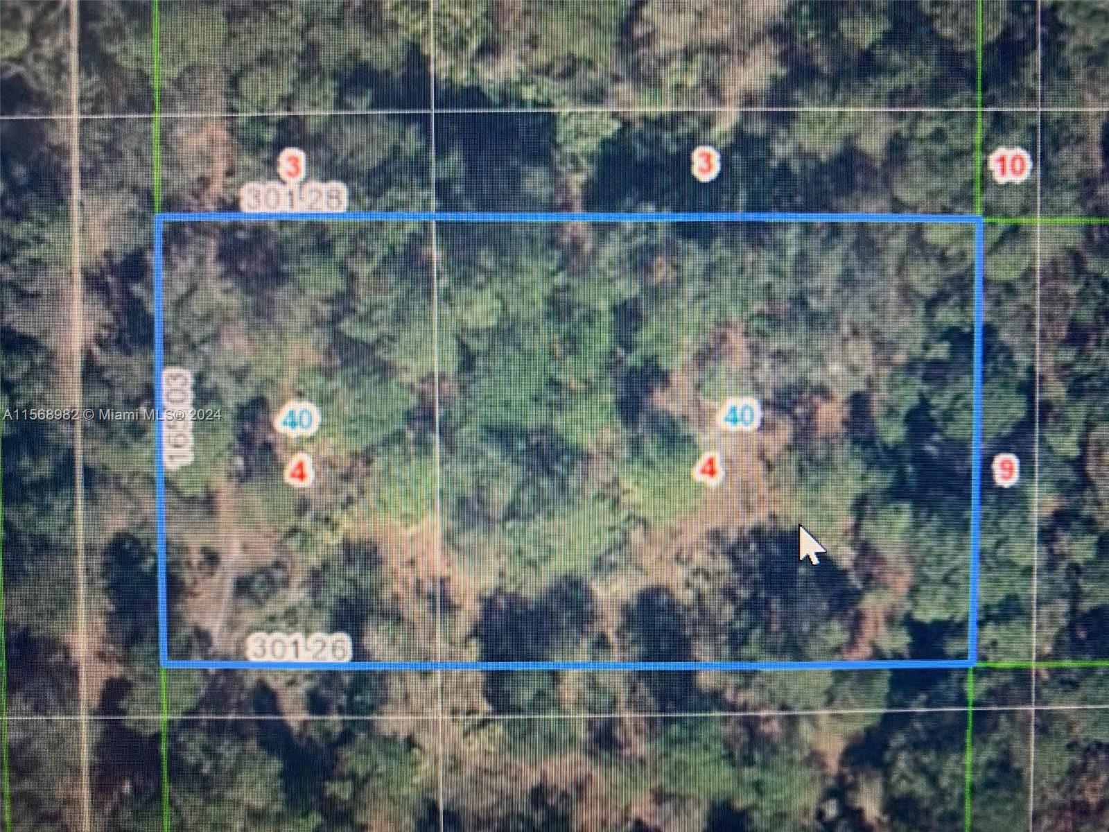 83dcefb7-3354 1939 S Griese Road, Avon Park FL 33825 — #A11568982