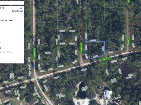 1245 KUMQUAT ST, Lake Placid FL 33852 — #A11581380