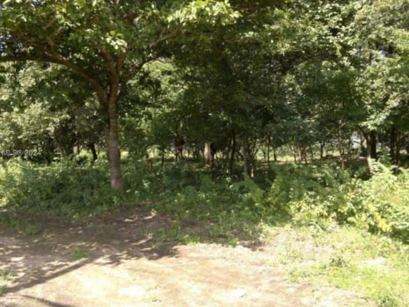 No # Liberia frente a Carretera y Aeropuerto 36 HTS C R, CR — #A11586831