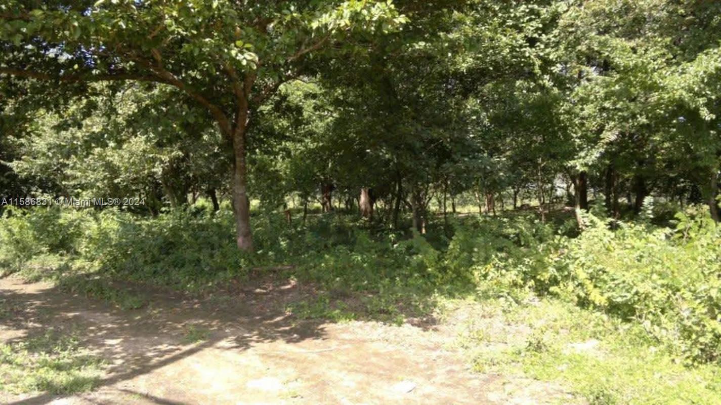 83dcefb7-3453 No # Liberia frente a Carretera y Aeropuerto 36 HTS C R, CR — #A11586831