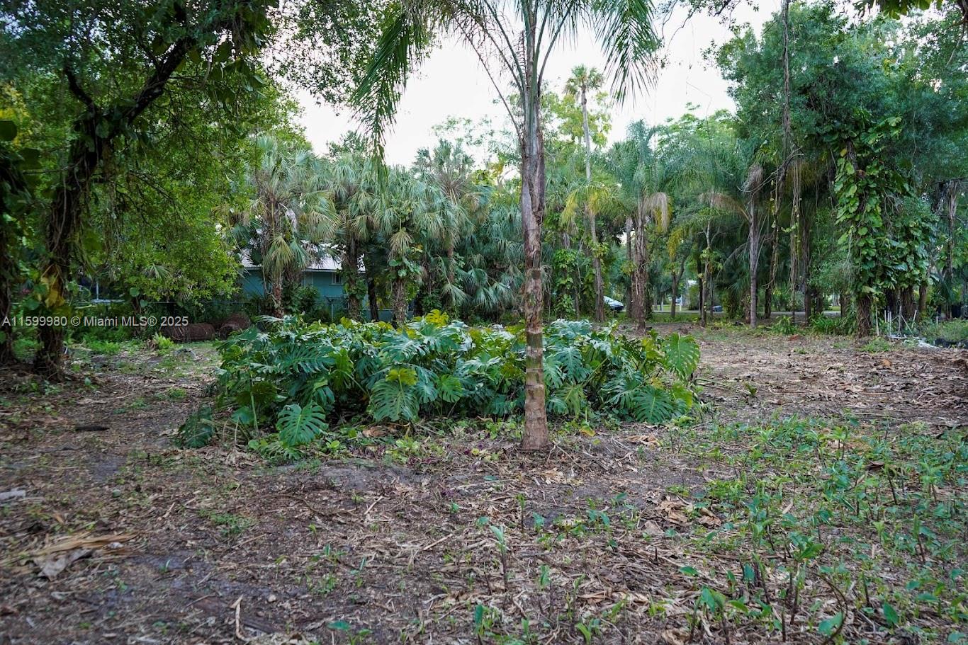 83dcefb7-3502 385 Caloosa Dr, La Belle FL 33935 — #A11599980