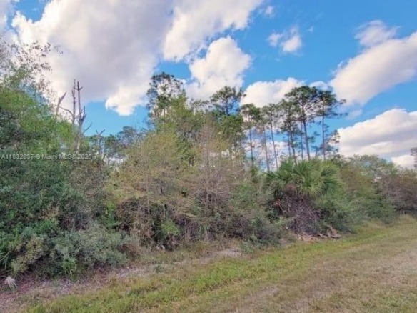 305 Yeehaw Ave, Clewiston FL 33040 — #A11832837