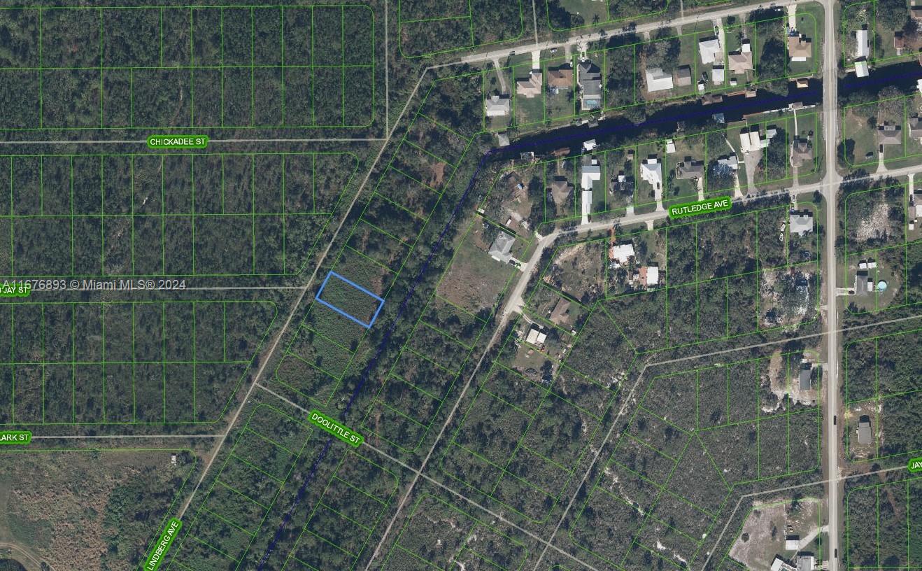 1507 Lindberg Ave, Lake Placid FL 33872 — #A11676893