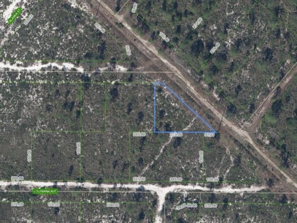 536 Nevada Avenue, Lake Placid FL 33852 — #A11696495