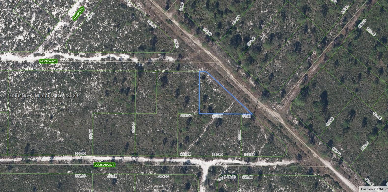 536 Nevada Avenue, Lake Placid FL 33852 — #A11696495