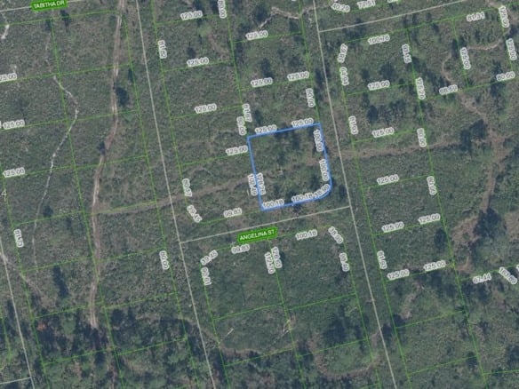 4703 San Pedro Drive, Sebring FL 33872 — #A11713547