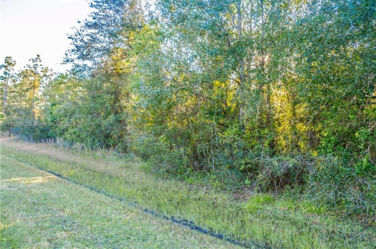 0 N Dallas Blvd, Orlando FL 32833 — #A11837812