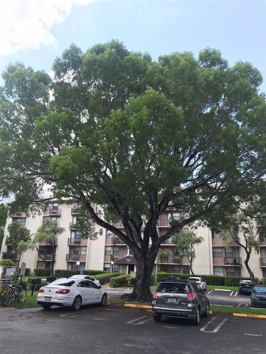 83dcefb7-4365 2701 Riverside Dr # B, Coral Springs FL 33065 — #A11721578