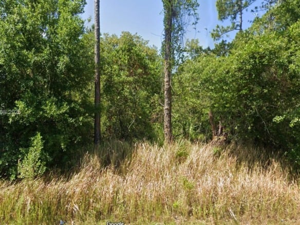8637 Primavera Street, Sebring FL 33872 — #A11726613