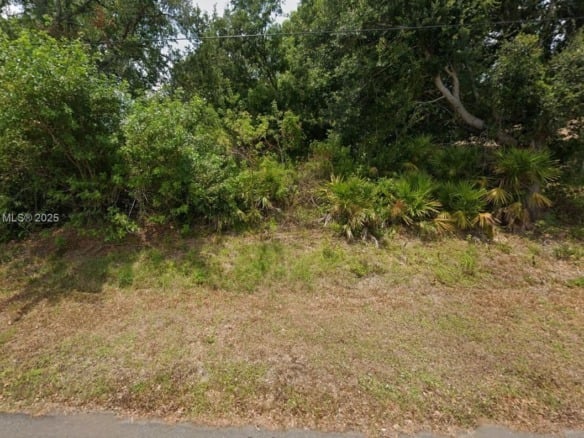 3917 Fonseca Avenue, Sebring FL 33872 — #A11726627
