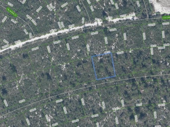 6456 Cotorro Drive, Sebring FL 33872 — #A11731018