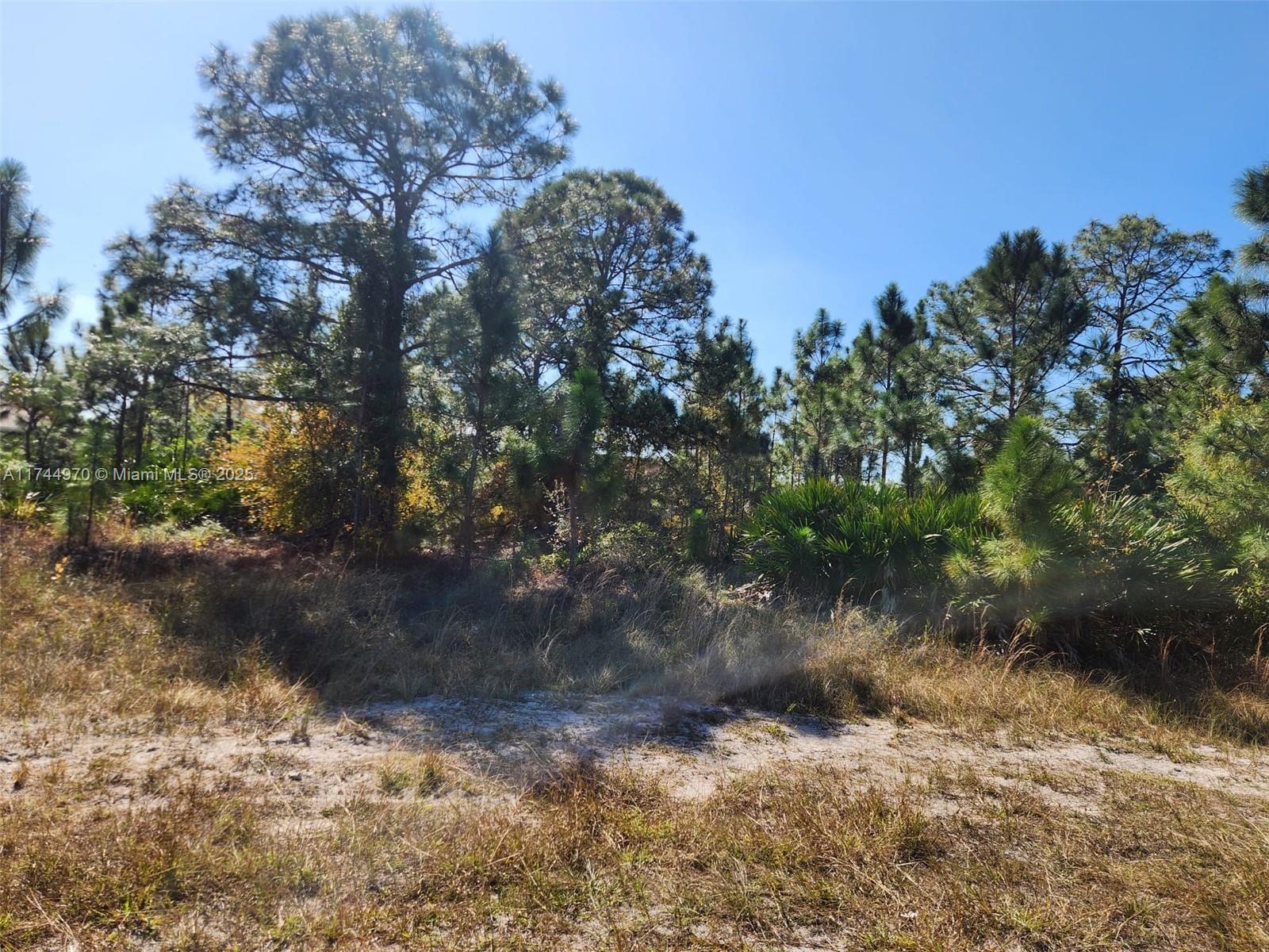 83dcefb7-4702 2719 50 W, Lehigh Acres FL 33971 — #A11744970