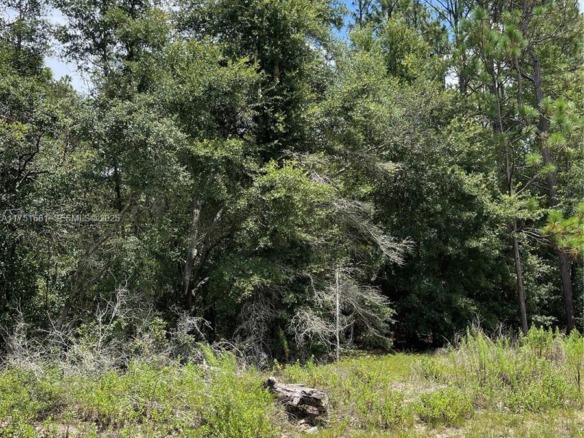 tbd SW 59th LN, Other City – In The State Of Florida FL 34431 — #A11751681