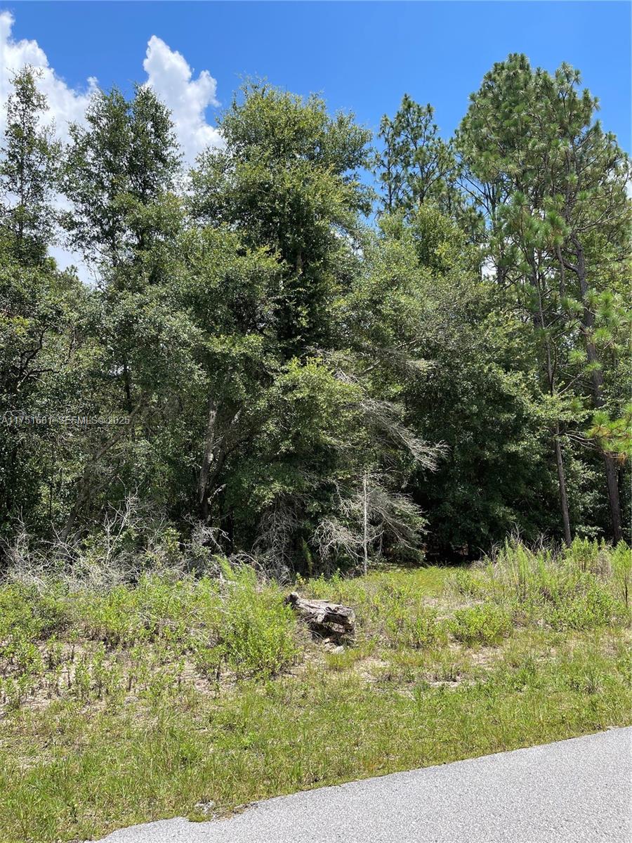 tbd SW 59th LN, Other City – In The State Of Florida FL 34431 — #A11751681