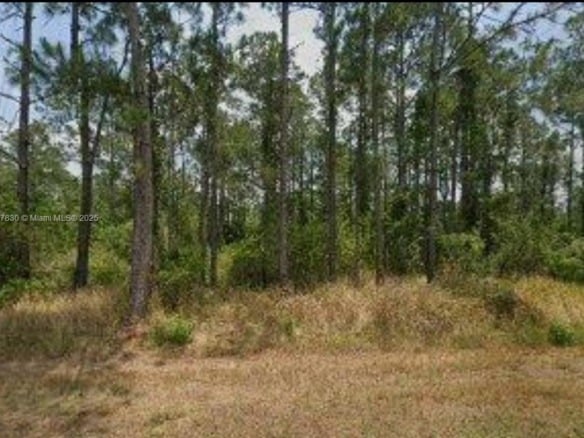 5112 Manati Ave., Sebring FL 33872 — #A11757830
