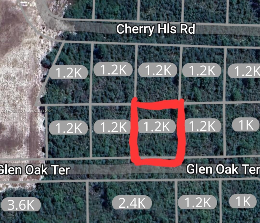 2924 Glen Oak Ter., Sebring FL 33875 — #A11757881