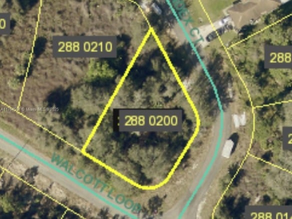 1915 index Court, Lehigh Acres FL 33972 — #A11768561