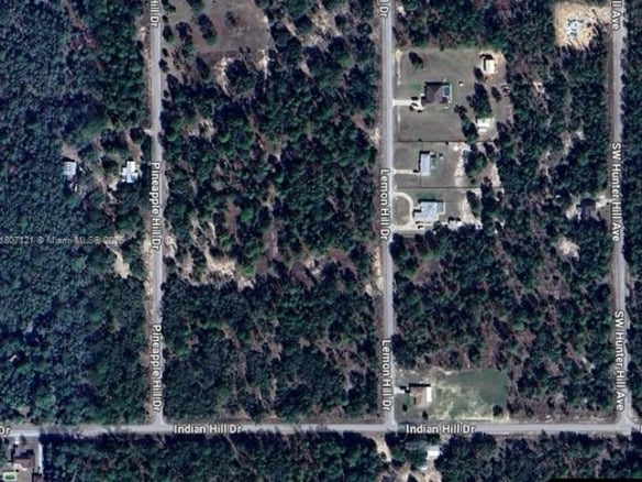 0 SW LEMON HILL DR, Other City – In The State Of Florida FL 34431 — #A11807121