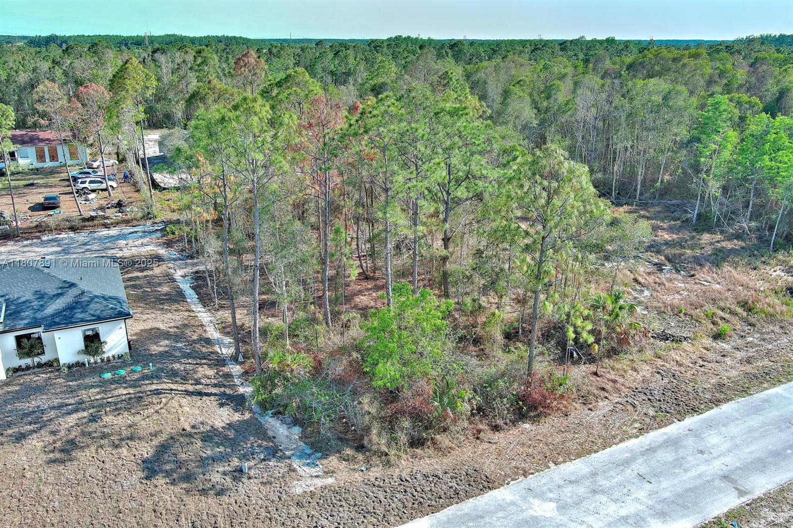 83dcefb7-5856 634 LADD ST, Lehigh Acres FL 33974 — #A11807891