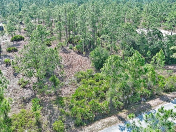 317 Fitch Ave, Lehigh Acres FL 33936 — #A11807893