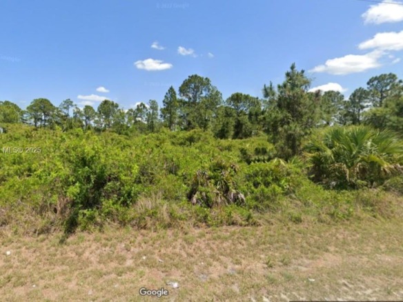 355 Long Ave, Lehigh Acres FL 33974 — #A11837157