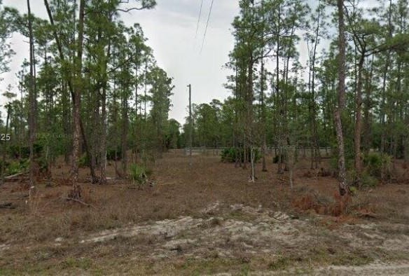 2005 E 13th St, Lehigh Acres FL 33971 — #A11837246