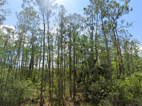 1903 Weller Ave, Lehigh Acres FL 33972 — #A11837257