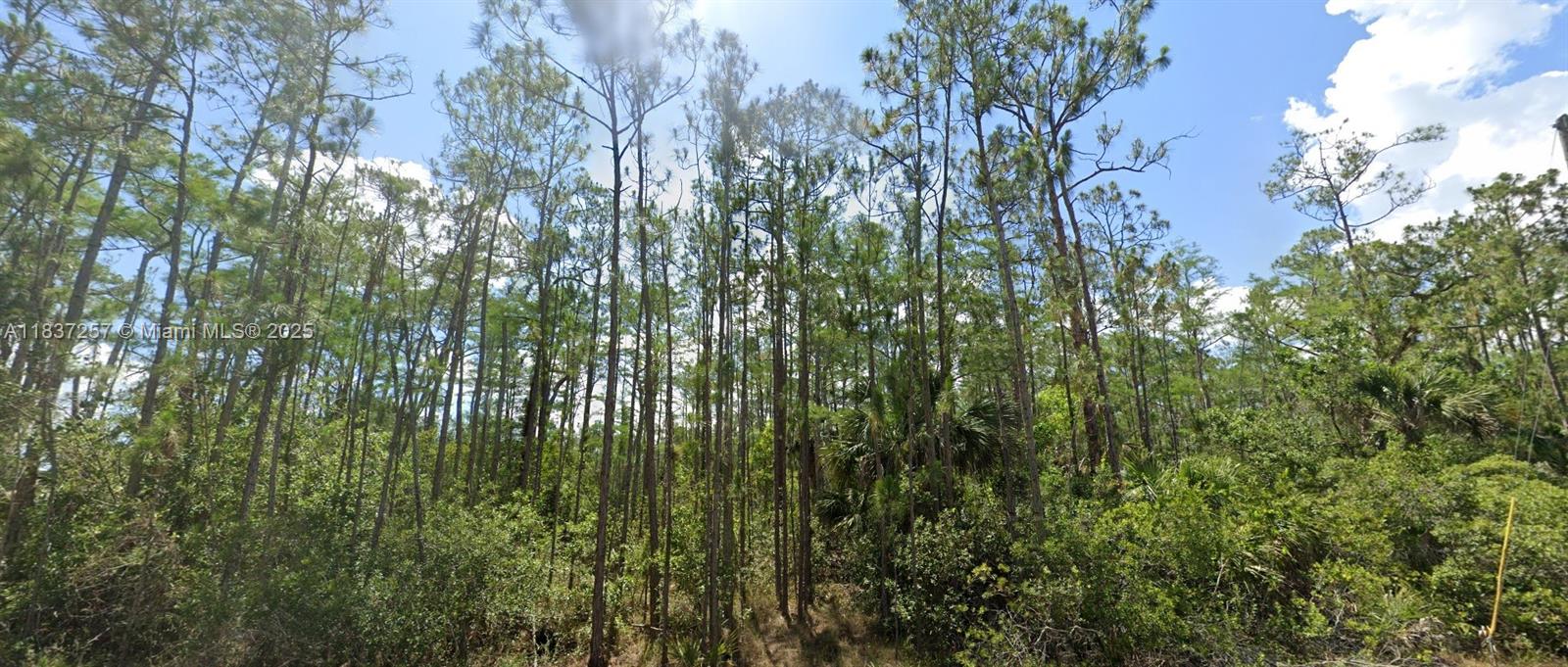 1903 Weller Ave, Lehigh Acres FL 33972 — #A11837257