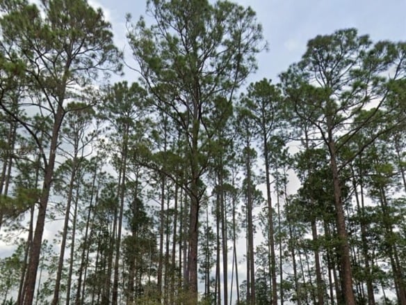 00 Greenley ST, Palatka FL 32148 — #A11841256