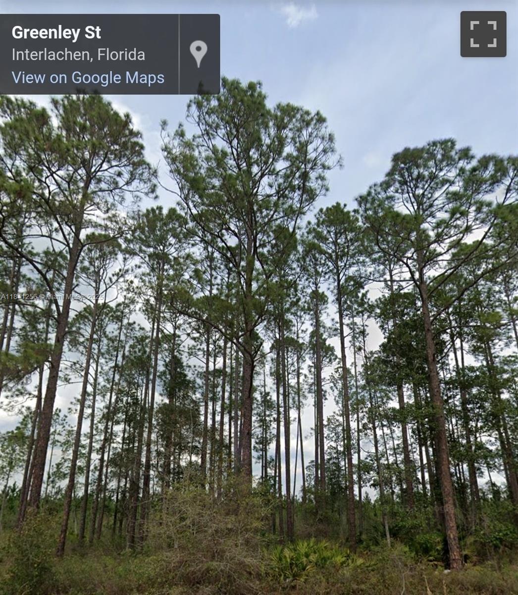 83dcefb7-6750 00 Greenley ST, Palatka FL 32148 — #A11841256