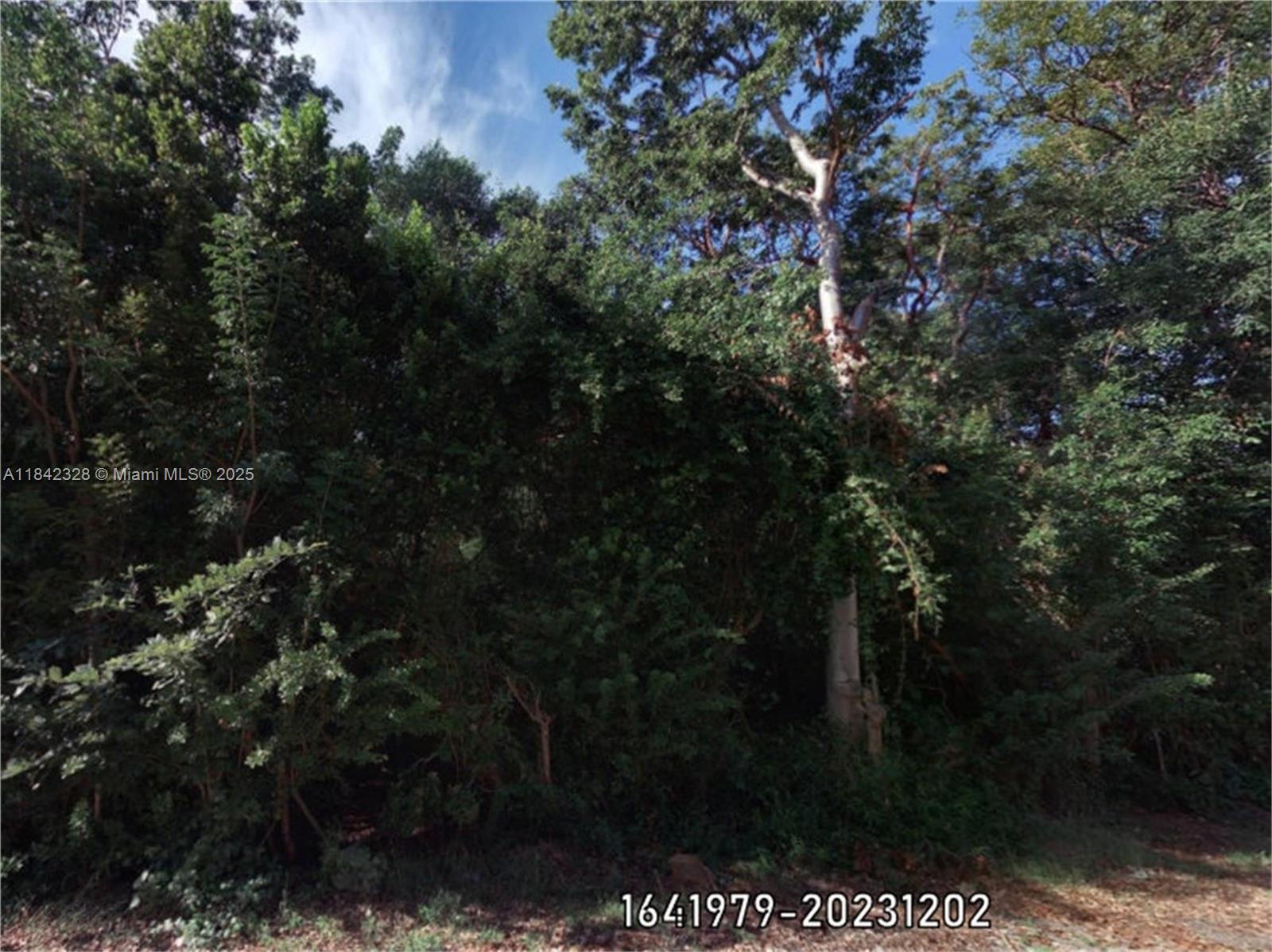 00 Poinsetta, Other City – In The State Of Florida FL 33037 — #A11842328