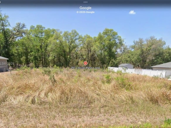 207 Locus pass loop, Other City – In The State Of Florida FL 34472 — #A11842747