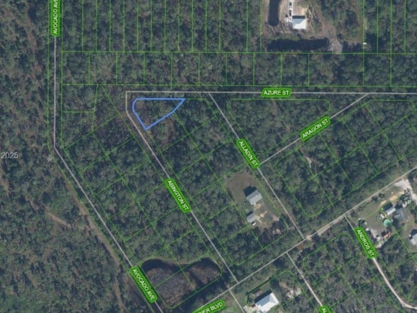 2124 Abington, Sebring FL 33875 — #A11853213