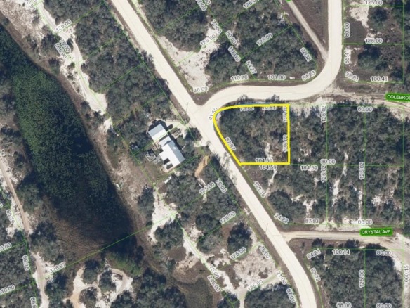 231 Lakeland Dr, Lake Placid FL 33852 — #A11853923