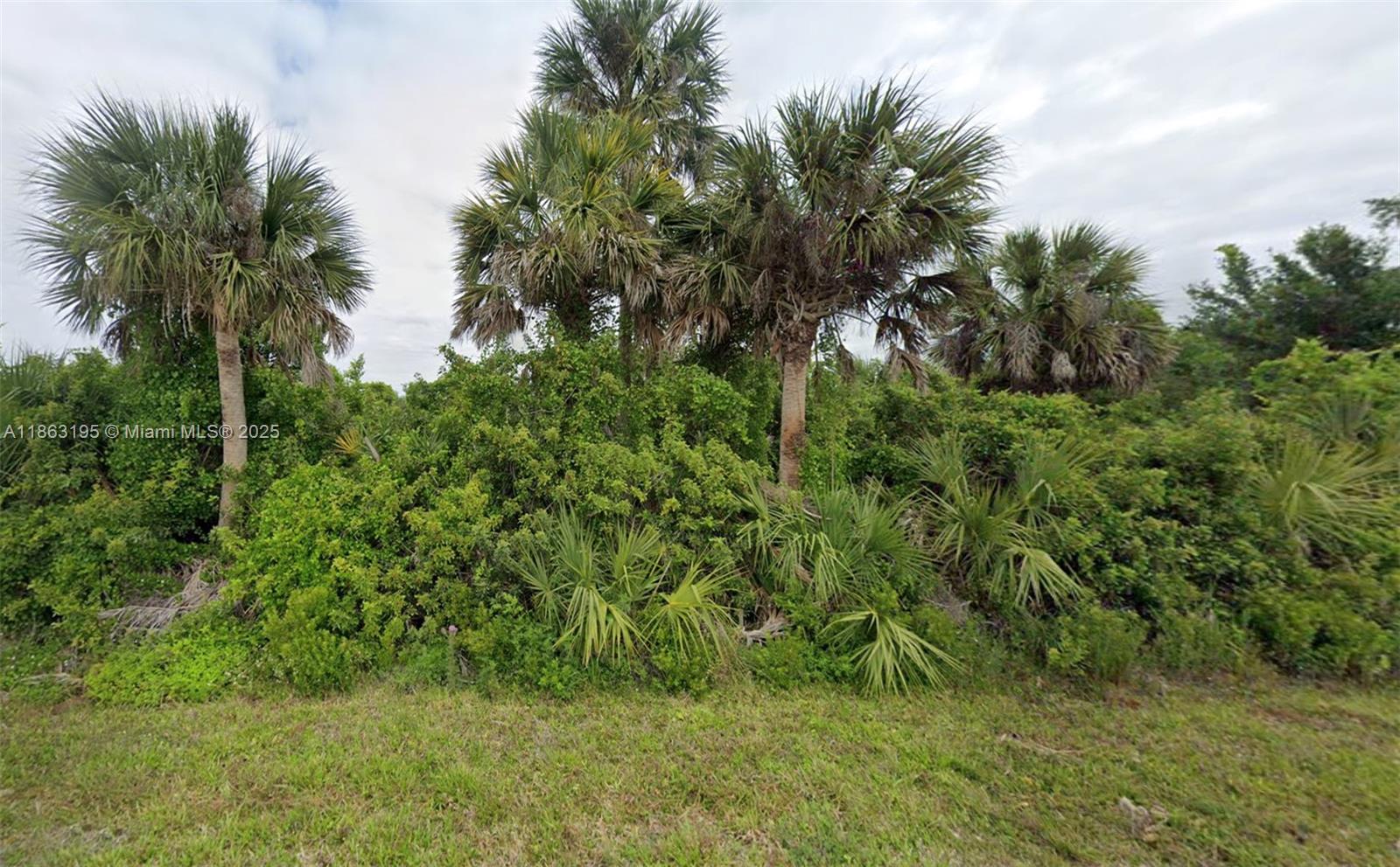 83dcefb7-7643 12199 Grouse Ave, Port Charlotte FL 33981 — #A11863195