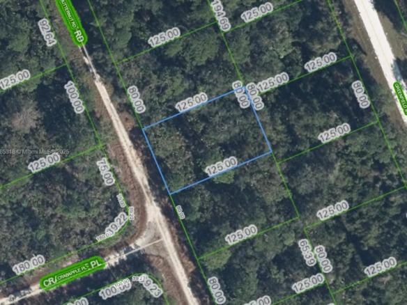 1131 BUTTERNUT RD, Lake Placid FL 33852 — #A11885318