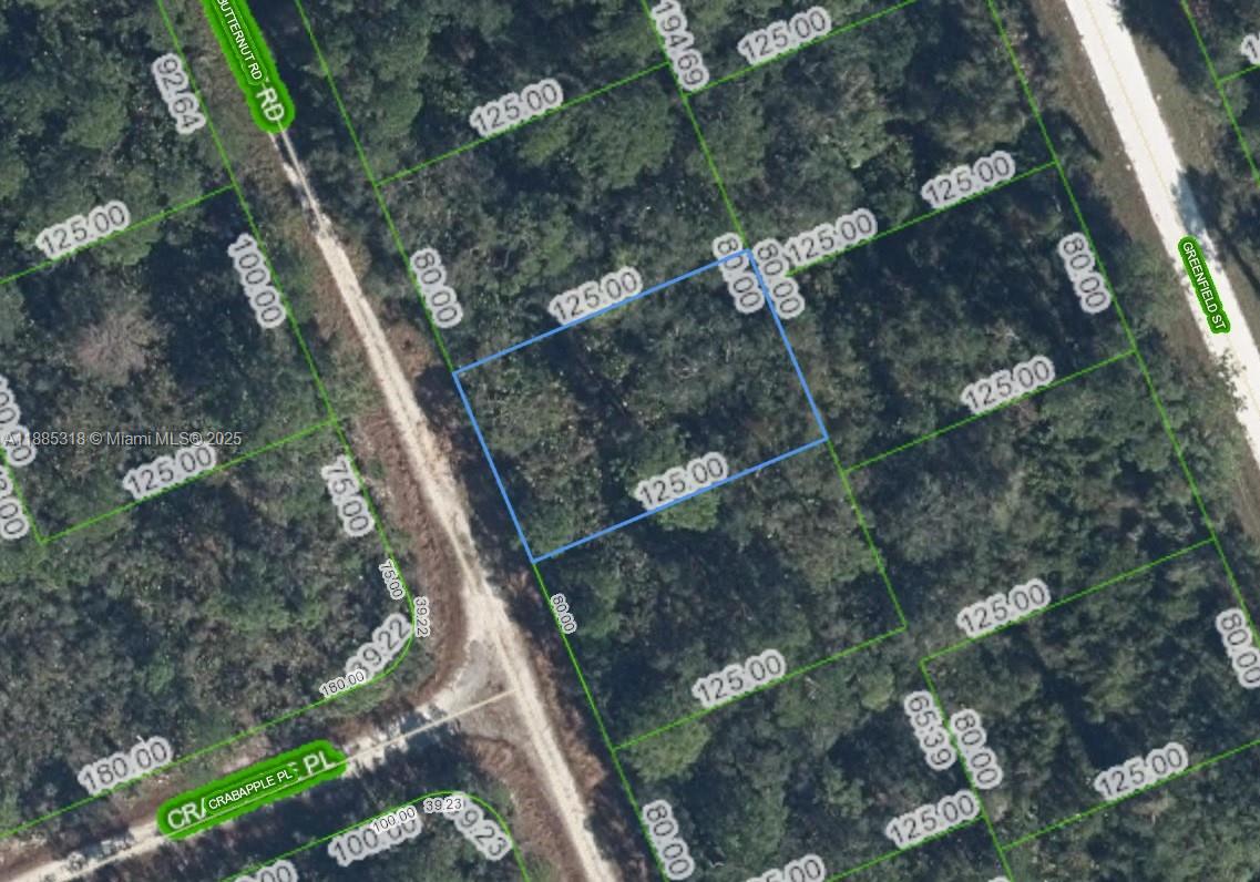 83dcefb7-787 1131 BUTTERNUT RD, Lake Placid FL 33852 — #A11885318