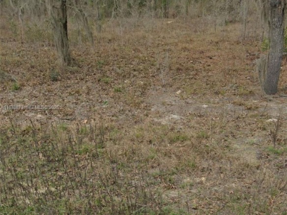 UNDETERMINED SW 130th Ave, Other City – In The State Of Florida FL 34432 — #A11870873