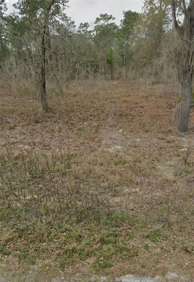 UNDETERMINED SW 130th Ave, Other City – In The State Of Florida FL 34432 — #A11870873