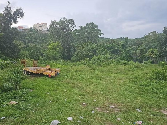 00 RIO NEUVO, ST MARY JAMAICA, NA — #A11871395